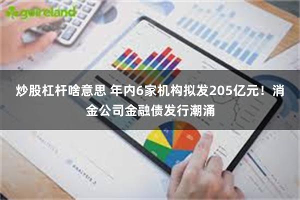 炒股杠杆啥意思 年内6家机构拟发205亿元！消金公司金融债发行潮涌