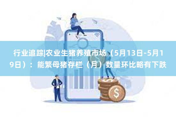 行业追踪|农业生猪养殖市场（5月13日-5月19日）：能繁母猪存栏（月）数量环比略有下跌