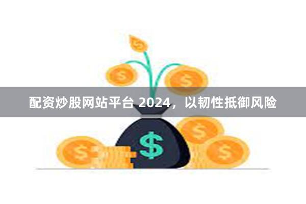 配资炒股网站平台 2024，以韧性抵御风险