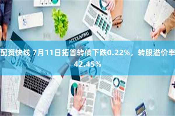 配资快线 7月11日拓普转债下跌0.22%，转股溢价率42.45%