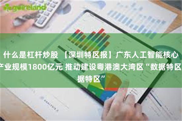 什么是杠杆炒股 【深圳特区报】广东人工智能核心产业规模1800亿元 推动建设粤港澳大湾区“数据特区”