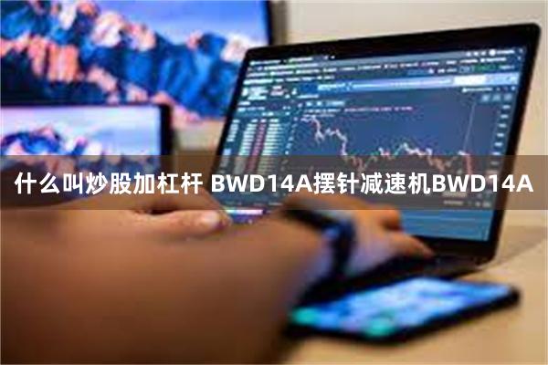 什么叫炒股加杠杆 BWD14A摆针减速机BWD14A