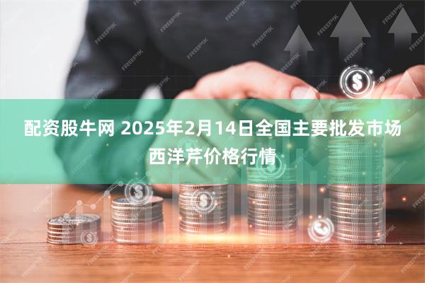 配资股牛网 2025年2月14日全国主要批发市场西洋芹价格行情