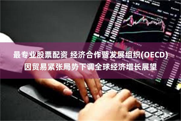 最专业股票配资 经济合作暨发展组织(OECD)因贸易紧张局势下调全球经济增长展望