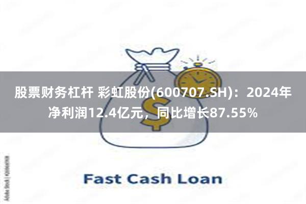 股票财务杠杆 彩虹股份(600707.SH)：2024年净利润12.4亿元，同比增长87.55%