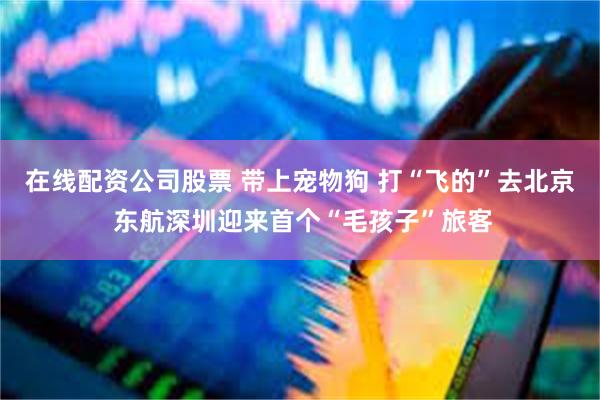 在线配资公司股票 带上宠物狗 打“飞的”去北京 东航深圳迎来首个“毛孩子”旅客
