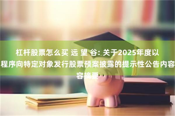 杠杆股票怎么买 远 望 谷: 关于2025年度以简易程序向特定对象发行股票预案披露的提示性公告内容摘要